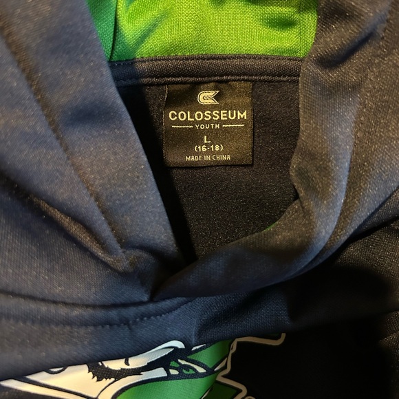 Notre Dame Youth Hoodie in Dark Blue, Green, and Gray - Picture 3 of 3